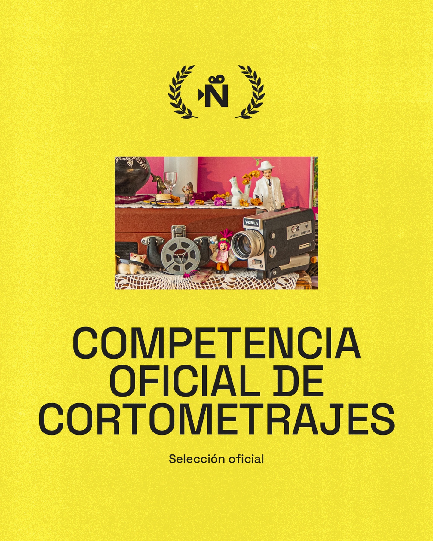 COMPETENCIA DE CORTOMETRAJES / Tanda 1