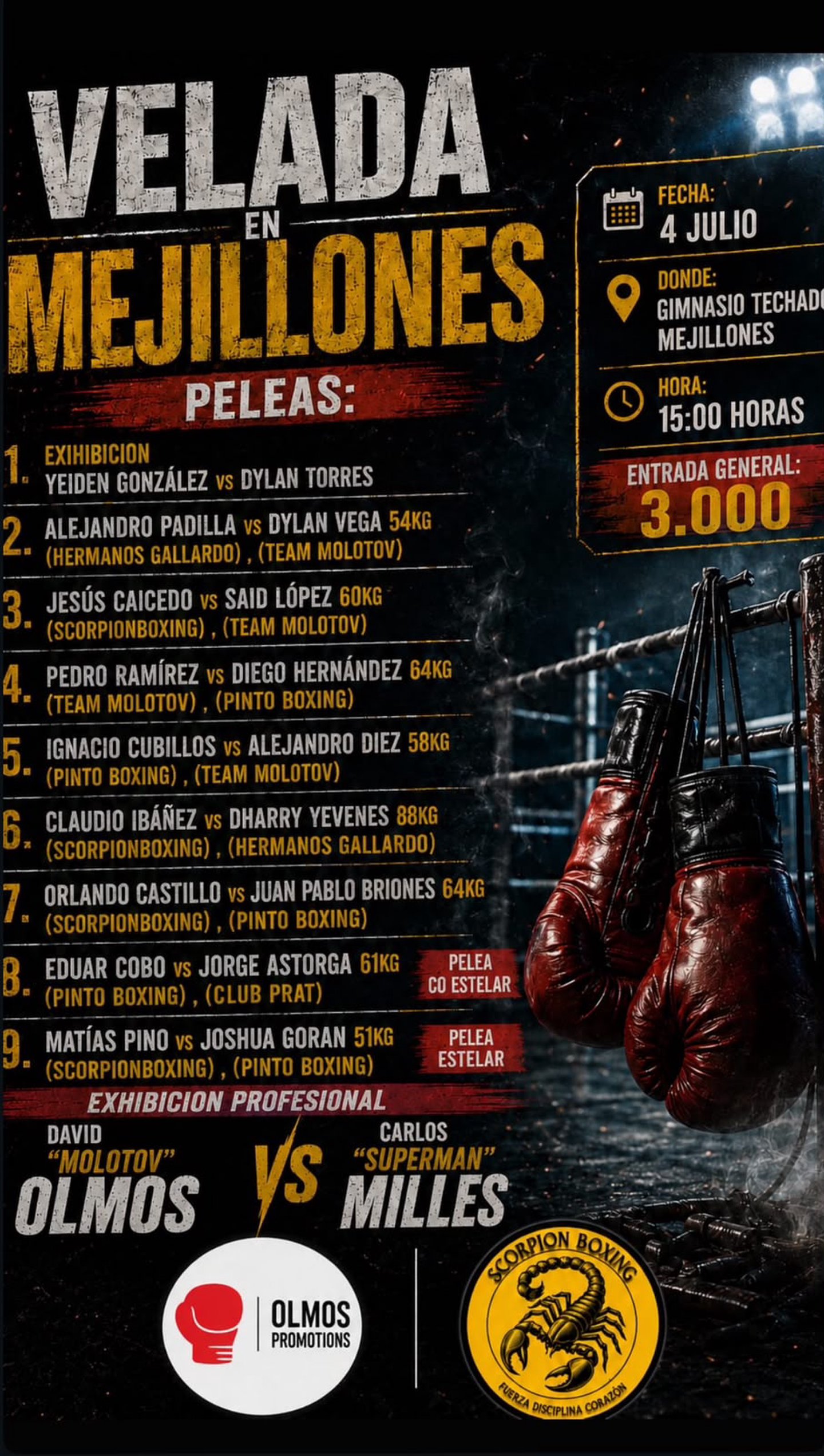 Gran Velada Mejillones