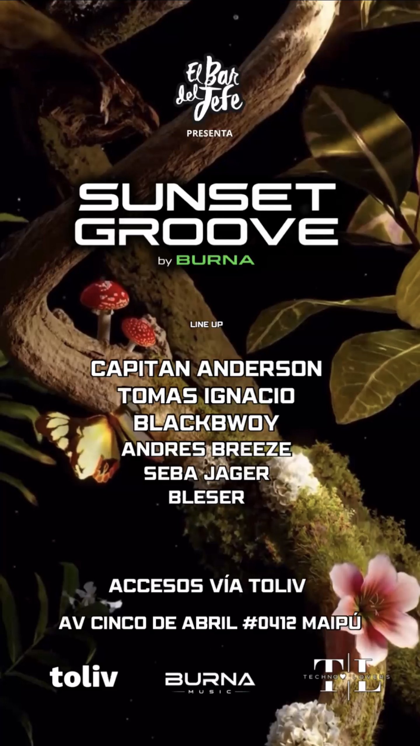 SUNSET GROOVE — Burna Music
