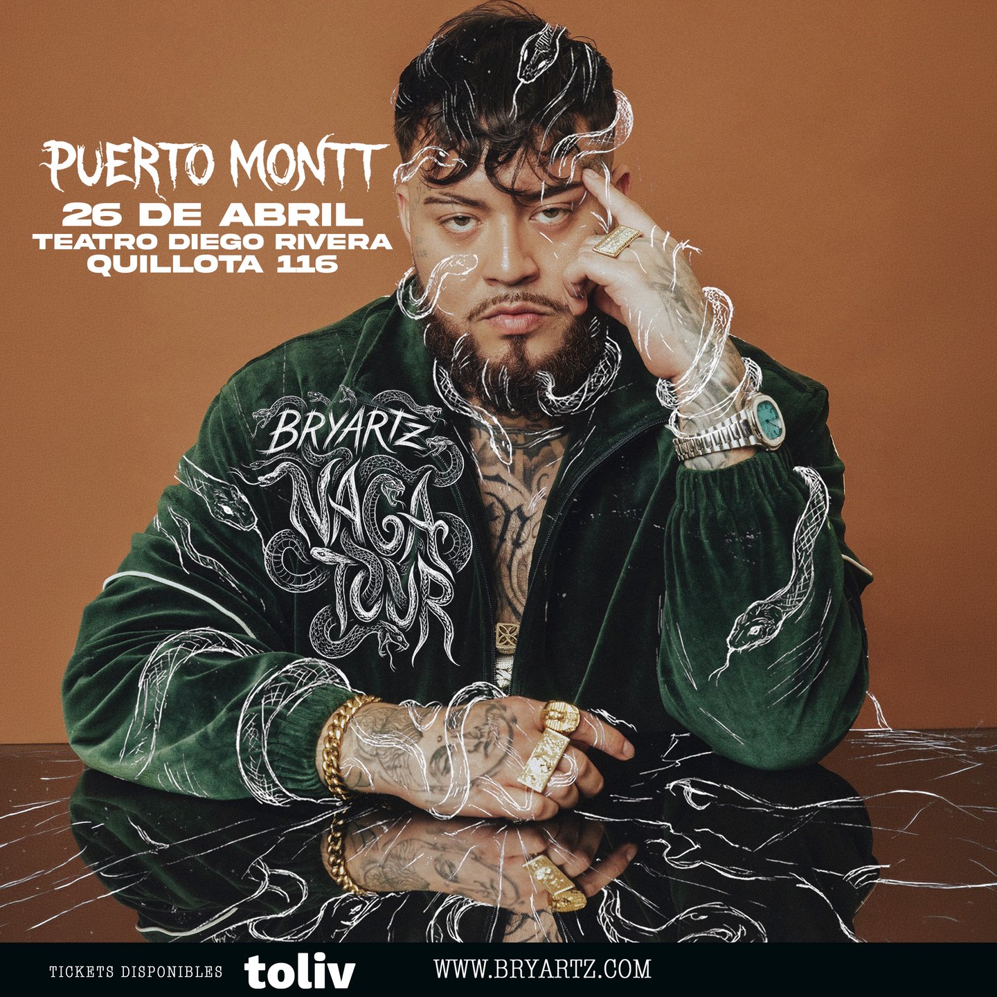 BRYARTZ - PUERTO MONTT  - NAGA TOUR