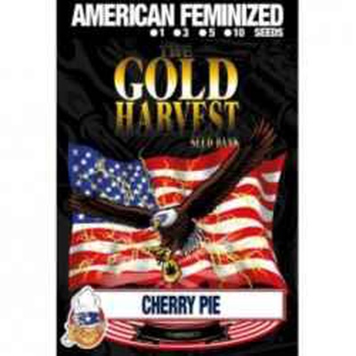 Colección Gold Harvest Cherry Pie(3uds) en EL GRIFO GROW SHOP Iquique