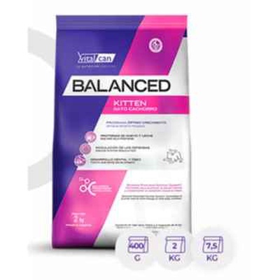 Balance Kitten en Alimentos Ercilla Chillán