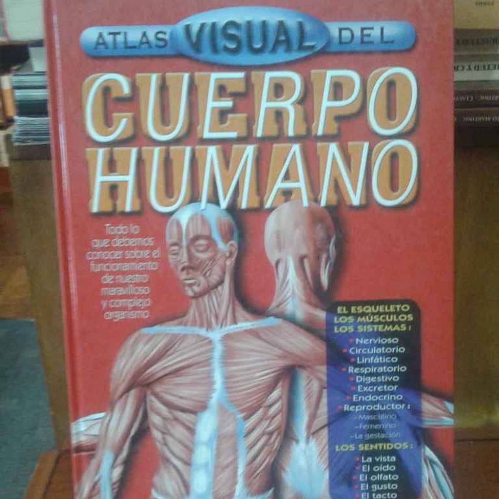 Atlas visual del cuerpo humano in Punta Arenas | Toliv, image size:1024x1024