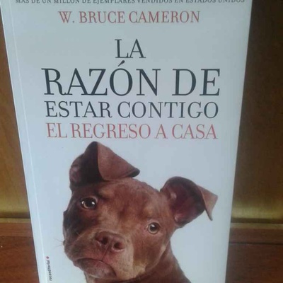 La razón de estar contigo, el regreso a casa en Libreria Tomislav Punta Arenas